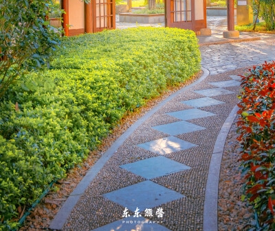 南韩丝面料是什么面料图片
