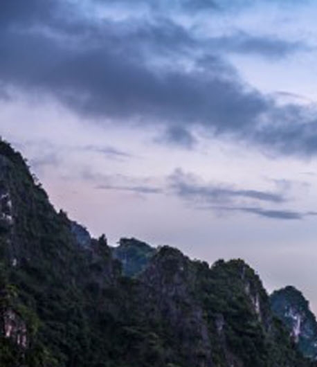 锦氨棉是什么面料