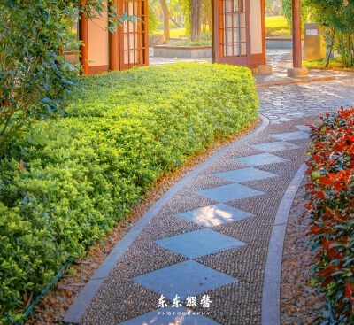 莫代尔面料和棉哪个好