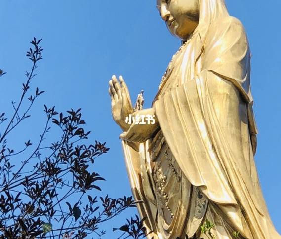 南韩丝面料校服