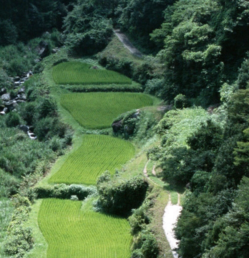 安阳迷彩网布厂