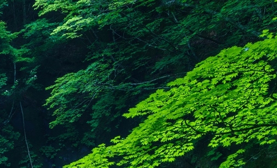 平顶山网布定制价格