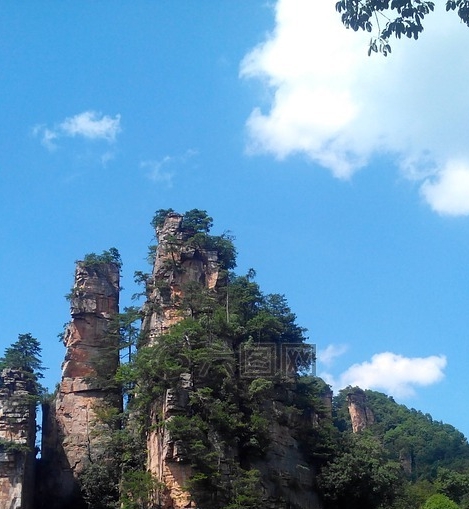 丝光棉是什么棉