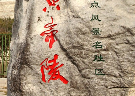 珠地丝光棉是什么面料