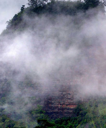 液氨 莫代尔 丝光棉