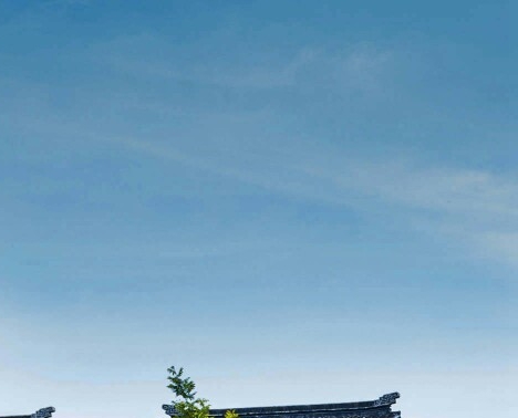 南韩丝是聚酯纤维吗