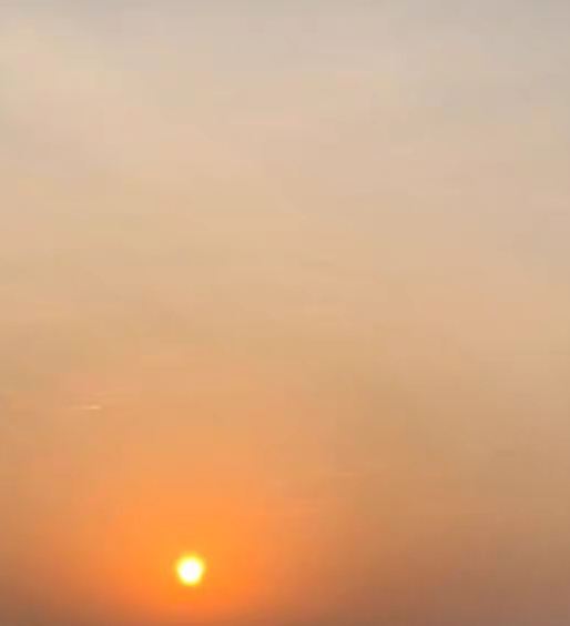 金光绒面料和南韩丝的优缺点