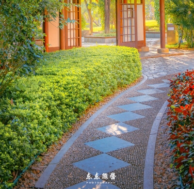 丝光棉是什么面料图片
