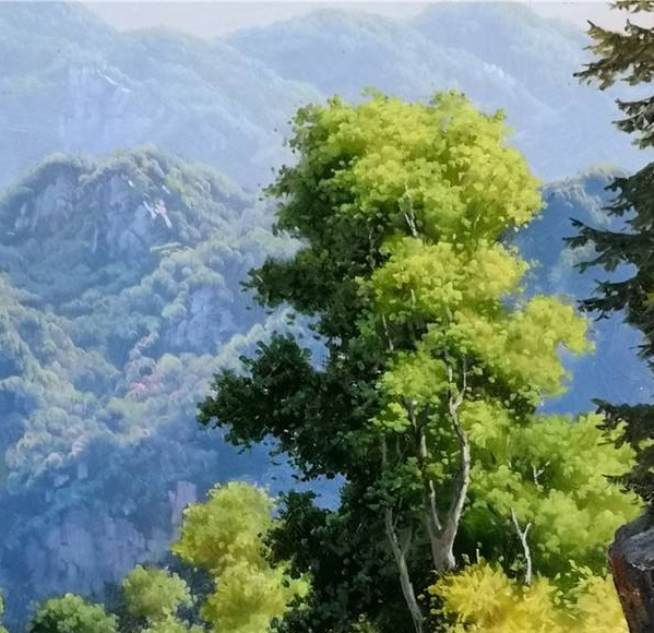金光绒是什么面料