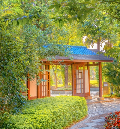 画有图案的布 大航海时代