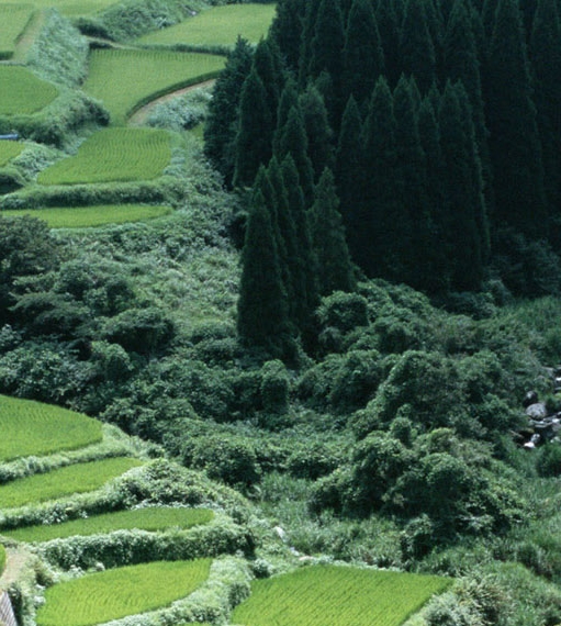 熔喷布价格查询