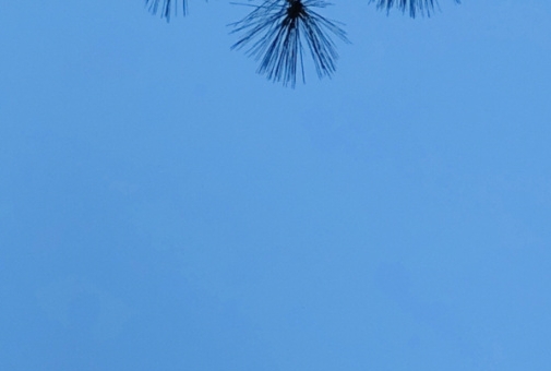 网布椅子怎么清洗
