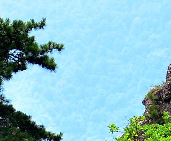 网布面料价格查询